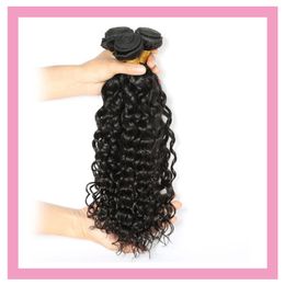 Malaysian 100% Human Hair Water Wave Curly 2 Bundles Double Wefts Natural Black Two Pieces Wholesale 10-30inch