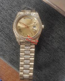Classic Mens Watch 228238 Champagne Roman Dial 41mm 18K Yellow Gold Diamond Bracelet Automatic Luxury Men's Watches Waterproof