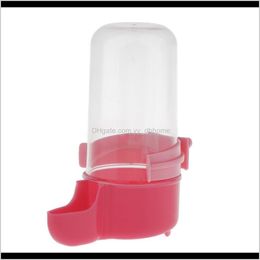 Matic Birds Water Food Feeder Plastic Waterer Bottle For Aviary 3 Colours To Choose Tdsbp Other Bird Supplies Izhlu