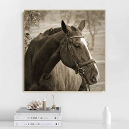 Vintage Horse Poster Canvas Painting Wall Art Animal Picture HD Print For Living Room Bedroom Decoration Cuadros No Frame