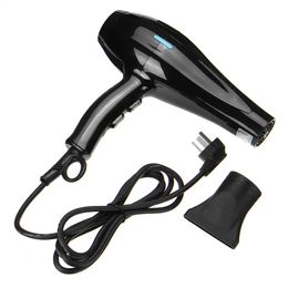 4200 Power Portable Dog Cat Pet Groomming Blow Hair Dryer Professional - Seven Light Colors with Remote