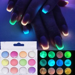 Nail Glitter 12 Boxes/Set Glow In Dark Phosphorescent Powder Pigment Luminous Shining Halloween Christmas Art Decorations