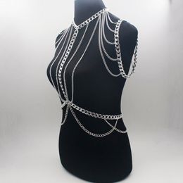 Chains Gold Sexy Body Jewelry Women Necklaces & Pendants Tassel Alloy Punk Long Necklace 2021 Designer Female Fashion BY206243o