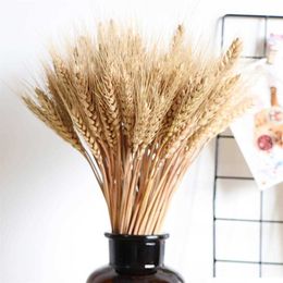 Real Wheat Ear Flower Natural Dried Flowers Wheat Ears Bouquet For Wedding Party Home Decor DIY Craft 210624
