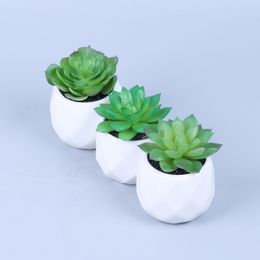-Möbelvase Mini Topf Succulents Kreative DIY Indoor Kleine Ornamente Kunststoff Künstliche Blume Pflanzen