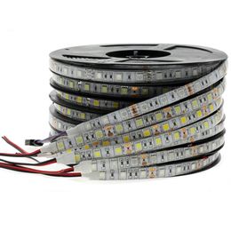 2021 RGB LED Strip Light 5050 2835 DC12V Neon Ribbon Waterproof Flexible LED Diode Tape 60LEDs/m 5M 12V LED Strip for Home Decoration