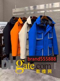 designer luxury big penguin and eagle joint limited edition men's and women's down jackets