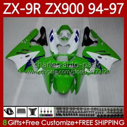 Bodywork Kit For KAWASAKI NINJA ZX-9R ZX900 ZX 9R 9 R 900 CC 1994-1997 Bodys 100No.30 ZX9 R 900CC ZX-900 ZX9R 94 95 96 97 ZX900C 1994 1995 1996 1997 OEM Fairing white green