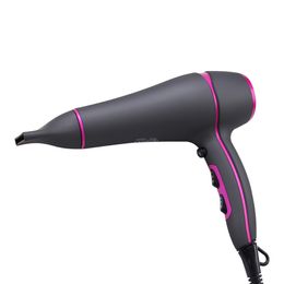 2200W Hair Dryer Professional Salon Dry Negative Ionic Blowdryer with Diffuser 2 Speed 3 Heat Settings Low Noise Nozzles DS