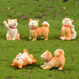 Garden Decoration Animal Micro-landscape Figures Decorations Little Yellow Dog Miniature Akita Dogs Toy Bonsai Cactus Succulent furnitures ZWL741