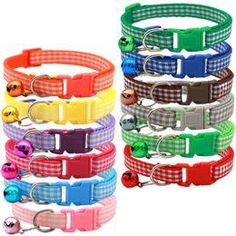 Husdjur Vanliga krage Justerbar 19-32 cm valp Kitten Collars Pet Hospital Ad Gifts