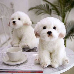 Bichon Fresh Puppy Stuffed Teddy Dog Cuddle Cute Simulation Pets Fluffy Baby Dolls Birthday Gifts For Children Dropshipping J220704