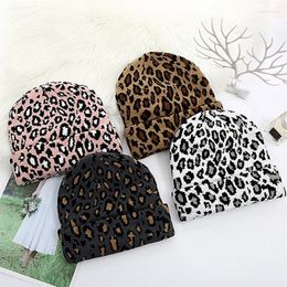 Beanie/Skull Caps Winter Warm Leopard Print Light Body Knitted Hat Melon Skin Curled Dome CapBeanie/Skull Elob22