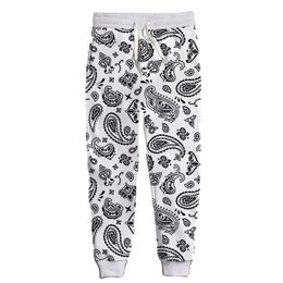 New Fashion 3D Printed National Wind Pattern Jogger Sweatpants Women Men Full Length Hip-hop Trousers Pants Bandana Red Paisley 007