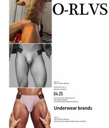Underpants Fashion Men Underwear Sexy Briefs Cotton Mens Bikini Panties Comfortable Low Waist Gay Male