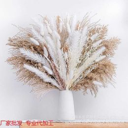 Hot selling reeds firewood amorous grass rabbit tail dust blowing dry flowers mixed bouquet bohemian style Grand Opening Light Yellow