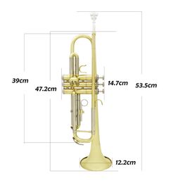 Bb Trumpet Gold silver plated musical instrument