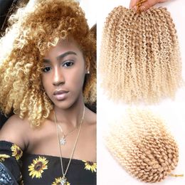 8 Inch Short Marlybob Crochet Braids Hair Extension Synthetic Ombre Braiding Extensions Small Afro Kinky Curly Twist Braid Hair LS05
