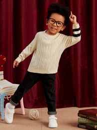 Toddler Boys Raglan Sleeve Cable Knit Sweater SHE01