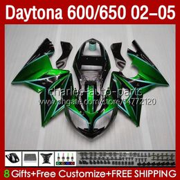 Green black Bodywork Kit For Daytona 650 600 CC 2002 2003 2004 2005 Body 132No.102 Cowling Daytona650 02-05 Daytona600 Daytona 600 02 03 04 05 ABS Motorcycle Fairing