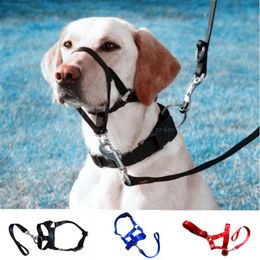 Dog Collars & Leashes Dogs Mouth Rope Gentle Halter Leash Leader Pet Traction Set Adjustable Head Collar Training Accessories