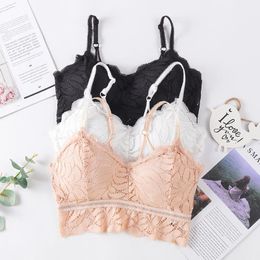Bustiers & Corsets Free Size Bra Sexy Bralette Crop Top Underwear Push Up Strapless Bh Lace Female LingerieBustiers