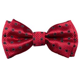 Bow Ties Children's Double-layer Silk Tie Fashion Satin Dinner Party Adjustable LengthBow