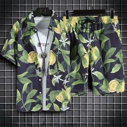 Beach Clothes For Men 2 Piece Set Quick Dry Hawaiian Shirt and Shorts Fashion Clothing Printing Casual Outfits Summer 220524