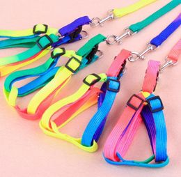 Dog Collars & Leashes Colourful Harness Nylon Adjustable Pet Collar Puppy Cat Animals Accessories Necklace Rope Tie SN2952Dog