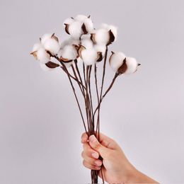 Decorative Flowers Wreaths Artificial Dried Cotton Flowers White Flower Branch 220823