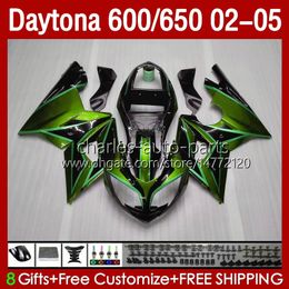 Bodywork Kit For Daytona 650 600 CC 2002 2003 2004 2005 Body 132No.110 Cowling Daytona650 02-05 Daytona600 Daytona 600 02 03 04 05 ABS Metallic Green Motorcycle Fairing