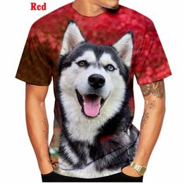 Men's T-Shirts Men And Women Summer Fashion 3D T-shirt Animal Siberian Husky Funny Personality Creative O-neck Tops XS-5XLMen's