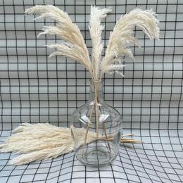 dried fall wreath UK - Decorative Flowers & Wreaths Stems White Color Dried Pampas Grass Wedding Use Flower Christmal Gift Home Decoration Fall DecorDecorative
