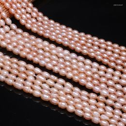 Other A// Natural Freshwater Pearl Pink Irregular Beads Used For Jewelry Making DIY Bracelet Necklace Size 5-6mmOther OtherOther Edwi22