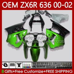 OEM Body Kit For KAWASAKI NINJA ZX-6R ZX-636 ZX-600 ZX 6R 600 CC Green black 6 R ZX6R 00 01 02 133No.221 ZX 636 600CC ZX636 2000 2001 2002 ZX600 2000-2002 Injection Fairing