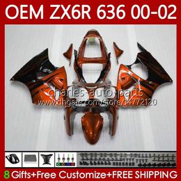 Injection Fairings For KAWASAKI NINJA Orange&flames ZX-6R ZX 6R 600 CC 6 R ZX-636 ZX636 2000 2001 2002 Body 133No.113 ZX 636 600CC ZX600 ZX-600 00-02 ZX6R 00 01 02 OEM Bodywork