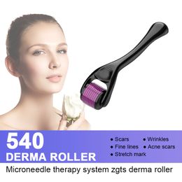 Derma Roller Micro Needle Beauty Microneedle Roller 540 Titanium 0.25mm Kit For Wrinkle Removal And Hair Loss Treatment