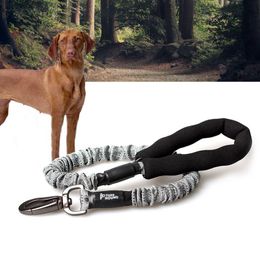 Dog Collars & Leashes Retractable Leash Nylon Rope Running Bungee Extendable Leads Pet Leashe For Strap Pitbull Greyhound Dropship