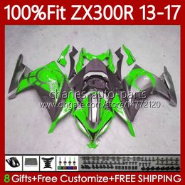 OEM Fairings For KAWASAKI NINJA EX ZX 3R 300 300R EX-300 ZX300 125No.134 ZX-3R ZX-300R ZX3R Green silver ZX300R 13 14 15 2016 2017 EX300R 2013 2014 2015 16 17 Injection Body