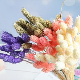 colorful grasses Canada - Decorative Flowers & Wreaths 20Pcs Dried Natural Flower Bouquets Artificial Colorful Lagurus Tail Grass Bunches Ovatus RabbitDecorative Deco