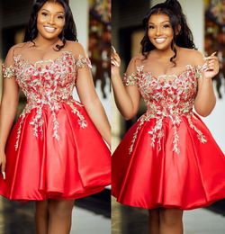 Plus Size Arabic Aso Ebi Red Luxurious A-Line Prom Dresses Lace Beaded Sexy Evening Formal Party Second Reception Birthday Engagement Gowns Dress Zj655 407