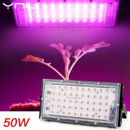 LED Grow Light Phyto Lamp AC 110v 220V 50W Full Spectrum Floodlight Indoor Outdoor Greenhouse Plant Hydroponic Spotlight