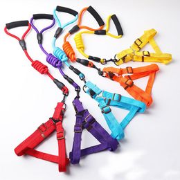 Dog Collars & Leashes Harness And Leash Adjustable Safety Collar For Small Dogs 0.6/0.8/1/1.2cm Traction Rope Leads Outdoor WalkingDog