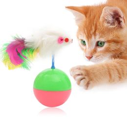 Plastic Small Cat Tumbler Mouse Pet Sound Toy Cat Toys Hollow Out Round Pet Colourful Playing Ball Toys Cat Products