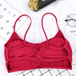 laced bras UK - Camisoles & Tanks Women Sports Bra Seamless Wireless Sport Bras For Yoga Workout Fitness Brief Push Up Crop Tops Lace CamisoleCamisoles