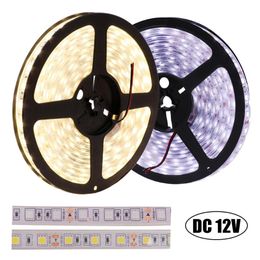 Strips Strip DC12V IP20 IP65 IP67 Waterproof 60LEDs/m Flexible LED Light Warm White /White/Red/Green/Blue RGB 5m/lotLED StripsLED