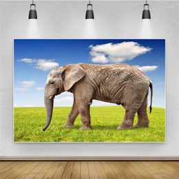 Party Decoration Thin Po Background 3D Animals Printed Lovely Pography Backdrops For Pos Studio Birthday Decor