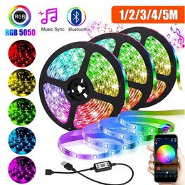 USB LED Strip Light SMD 5050 RGB Colourful DC5V Flexible Light Tape Ribbon Bluetooth Waterproof TV Background Lighting