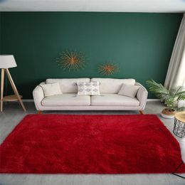 Carpets Fashion Salon Thickened Long Doormats Fluffy Carpet Thicken In The Living Room Nordic Household Plush CarpetCarpets CarpetsCarpets