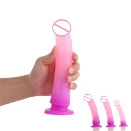 Gradient Colour Silicone Dildos Anal Plug Realistic Suction Cup sexy Toys for Women Lesbian Masturbators Penis tools Beauty Items